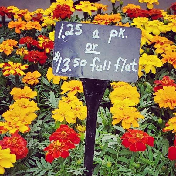 Meet your Posher, Jaime - Picture 1 of 1